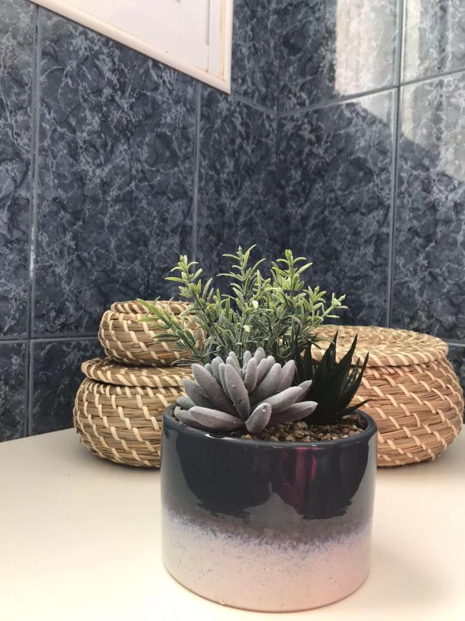 Santo Cristo Apartments Ponta Delgada  Ngoại thất bức ảnh